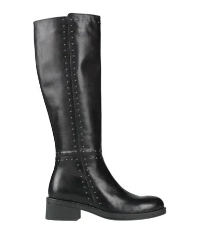 Tosca Blu Woman Boot Black Size 7 Leather In Multi