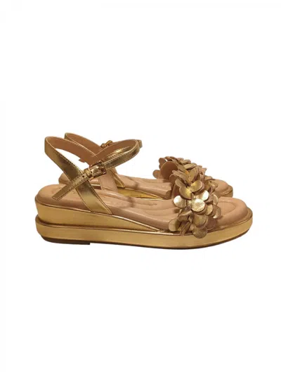 Toscablu Sandals Star Woman  S2548s481 In Gold