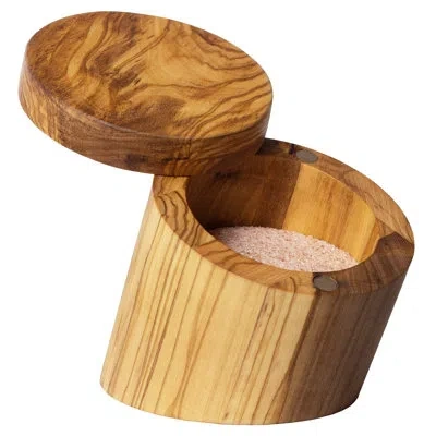 Totally Bamboo Rock & Branch Olive Wood Angled Salt Cellar With Swivel Lid In Brown