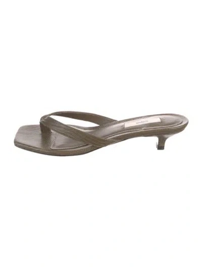 Pre-owned Totême Leather Animal Print Flip Flops In Multi
