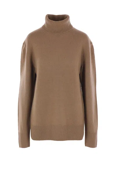 Totême Toteme Cashmere Turtleneck Clothing In Brown