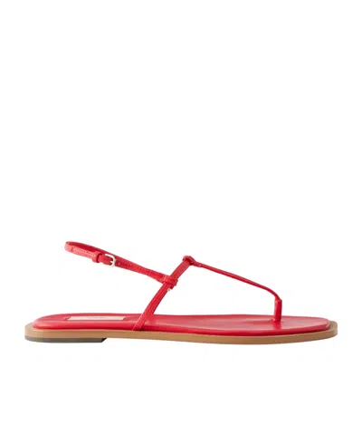 TOTÊME T-STRAP FLAT SANDALS