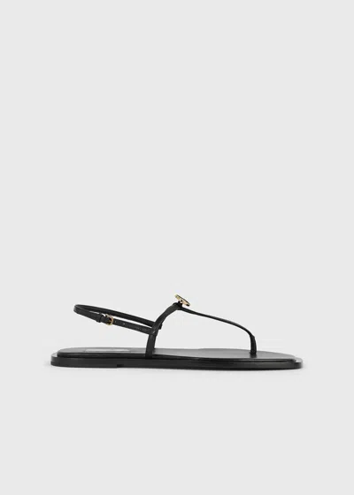 Totême Toteme T-strap Leather Sandals In Black
