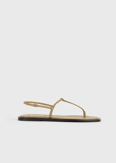 Totême T-strap Nappa Sandals Desert/dark Brown In Black