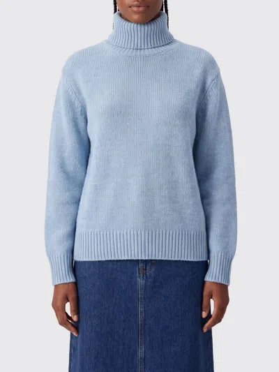 Totême Toteme Wool Turtleneck Sweater With High Collar And Ribbed Trims In Blue