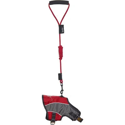 Touchdog 'reflective-max' 2-in-1 Performance Dog Harness And Leash In Multi