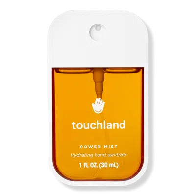 Touchland Limited Edition Seasonal Power Mist Hydrating Hand Sanitizer - Cinnamon Gingerbread