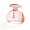 TOUS TOUS LADIES SENSUAL TOUCH EDT SPRAY 3.4 OZ (TESTER) FRAGRANCES 8436038837394