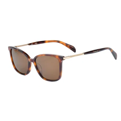 Tous Ladies' Sunglasses  Stob27-09ajzb  53 Mm Gbby2 In Brown