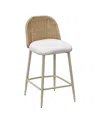 Tov Furniture Alexa Rattan Performance Fabric Outdoor Counter Stool In Brown