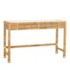 Tov Furniture Amara Rattan Desk In Natural