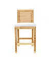 Tov Furniture Amara Rattan Counter Stool In Natural