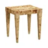 Tov Furniture Burl End Table In Natural
