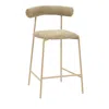 Tov Furniture Liliana Performance Velvet Counter Stool