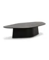 Tov Furniture Roche Ash Low Coffee Table In Black