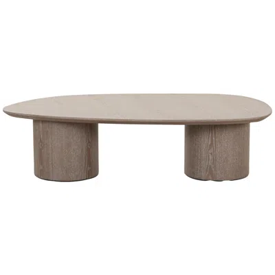 Tov Furniture Tov Rhema 47 3/4" Wide Washed Ash Oblong Wood Modern Coffee Table
