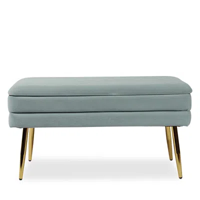 Tov Furniture Ziva Velvet Storage Bench In Green