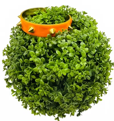 Tova Women's Ziva Spike Cuff Bracelet In Neon Orange