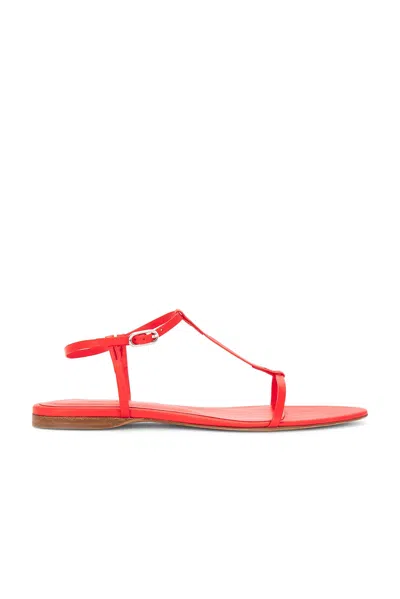 Tove Rene Leather Sandals In Vivid Red