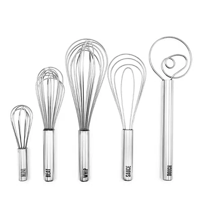 Tovolo 5 Piece Whisk Set In Silver