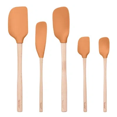 Tovolo Flex-core Spatula Wood Handle Set Of 5 - Apricot In Silver;apricot