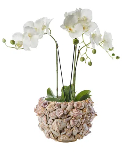 Tozai Two's Company 8.75in Shell Planter In Brown