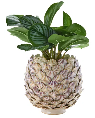 Tozai Two's Company 9.5in Fan Shell Planter In Brown