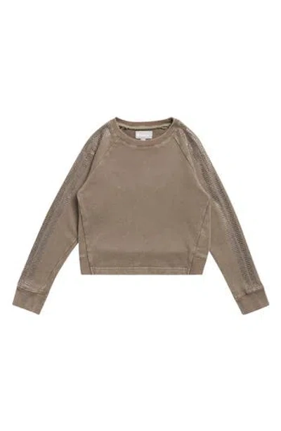 Tractr Kids' Rhinestone Stripe Cropped Sweatshirt In Brown