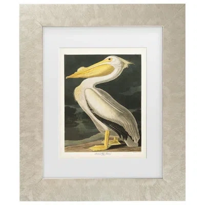 Trademark Canvas Art American White Pelican By John James Audubon In Champagne