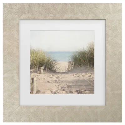 Trademark Canvas Art Beach Grasses By Pela Studio In Champagned