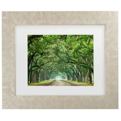 Trademark Canvas Art Canopy Road Vi Framed On Canvas By James Mcloughlin Painting In Champagne
