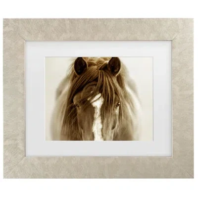 Trademark Canvas Art Ghost Horse Framed On Canvas By Lisa Dearing Painting In Champagned