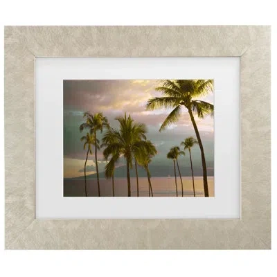 Trademark Canvas Art Hawaii Palm Sunset 1 Framed On Canvas By Carlos Vargas Painting In Champagned