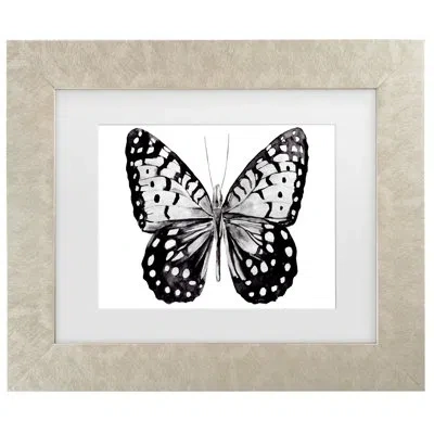 Trademark Canvas Art Monochrome Wings Whole I Framed On Canvas By Annie Warren Painting In Champagned