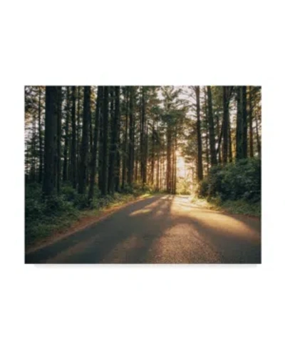 Trademark Global Adam Mead Pacific Northwest Oregon Iii Canvas Art In Multi
