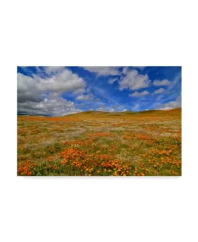 Trademark Global American School Poppies With Clouds Canvas Art In Multi