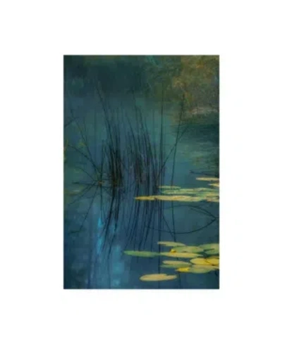 Trademark Global Andreas Agazzi Aqua Lily Canvas Art In Multi