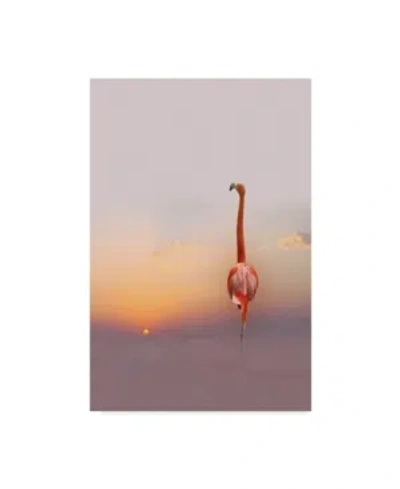 Trademark Global Anna Cseresnjes Sunset Flamingo Canvas Art In Multi