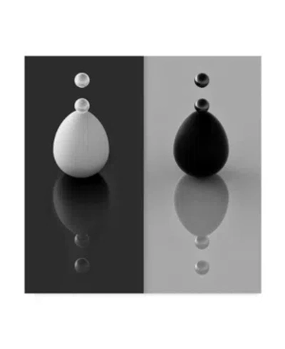 Trademark Global Antonyus Bunjamin Yin Yang Eggs Canvas Art In Multi