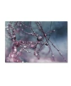 Trademark Global Beata Czyzowska Young 'colors Of Today' Canvas Art In Multi