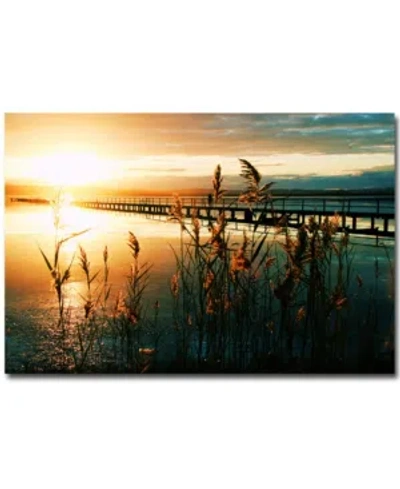 Trademark Global Beata Czyzowska Young 'wish You Were Here' 30" X 47" Canvas Wall Art