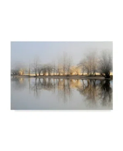 Trademark Global Bor January Morning Canvas Art In Multi