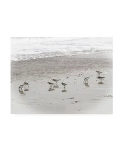 Trademark Global Brooke T. Ryan Sandpipers Canvas Art In Multi