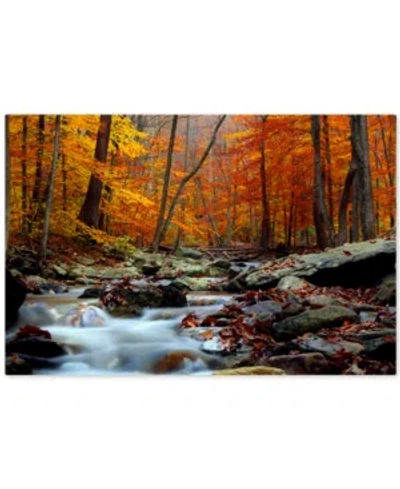 Trademark Global Cateyes 'ultimate Truth' Canvas Wall Art, 30" X 47"
