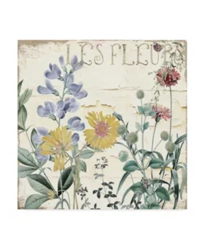 Trademark Global Color Bakery 'mirabelle Ii' Canvas Art In Multi