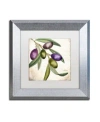 Trademark Global Color Bakery 'olive Branch I' Matted Framed Art In Multi
