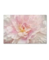 Trademark Global Cora Niele 'pink Peony' Canvas Art In Multi
