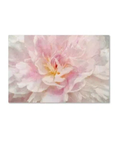 Trademark Global Cora Niele 'pink Peony' Canvas Art In Multi