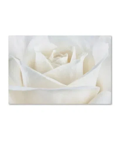 Trademark Global Cora Niele 'pure White Rose' Canvas Art In Multi