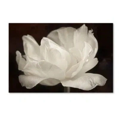 Trademark Global Cora Niele 'white Tulip Iii' Canvas Art, 30" X 47" In Open Misce